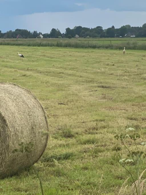 Appartamento Kunst Und Natur In Worpswede Esterno foto